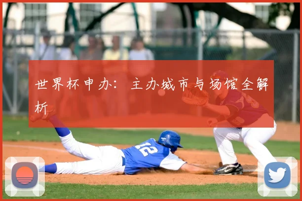 世界杯申办：主办城市与场馆全解析