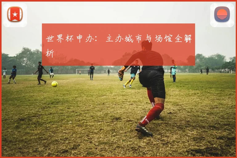 世界杯申办:主办城市与场馆全解析